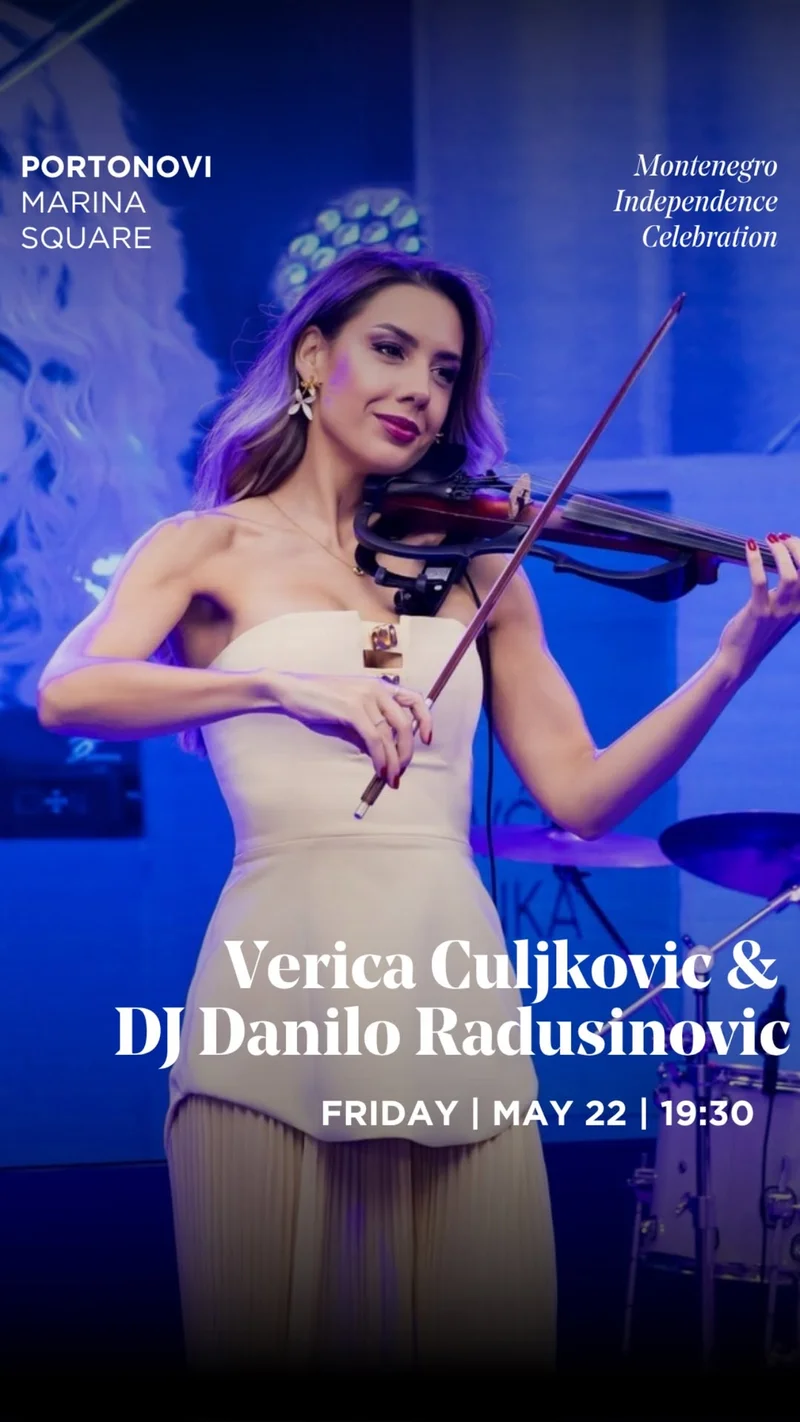 Violin & DJ Performance